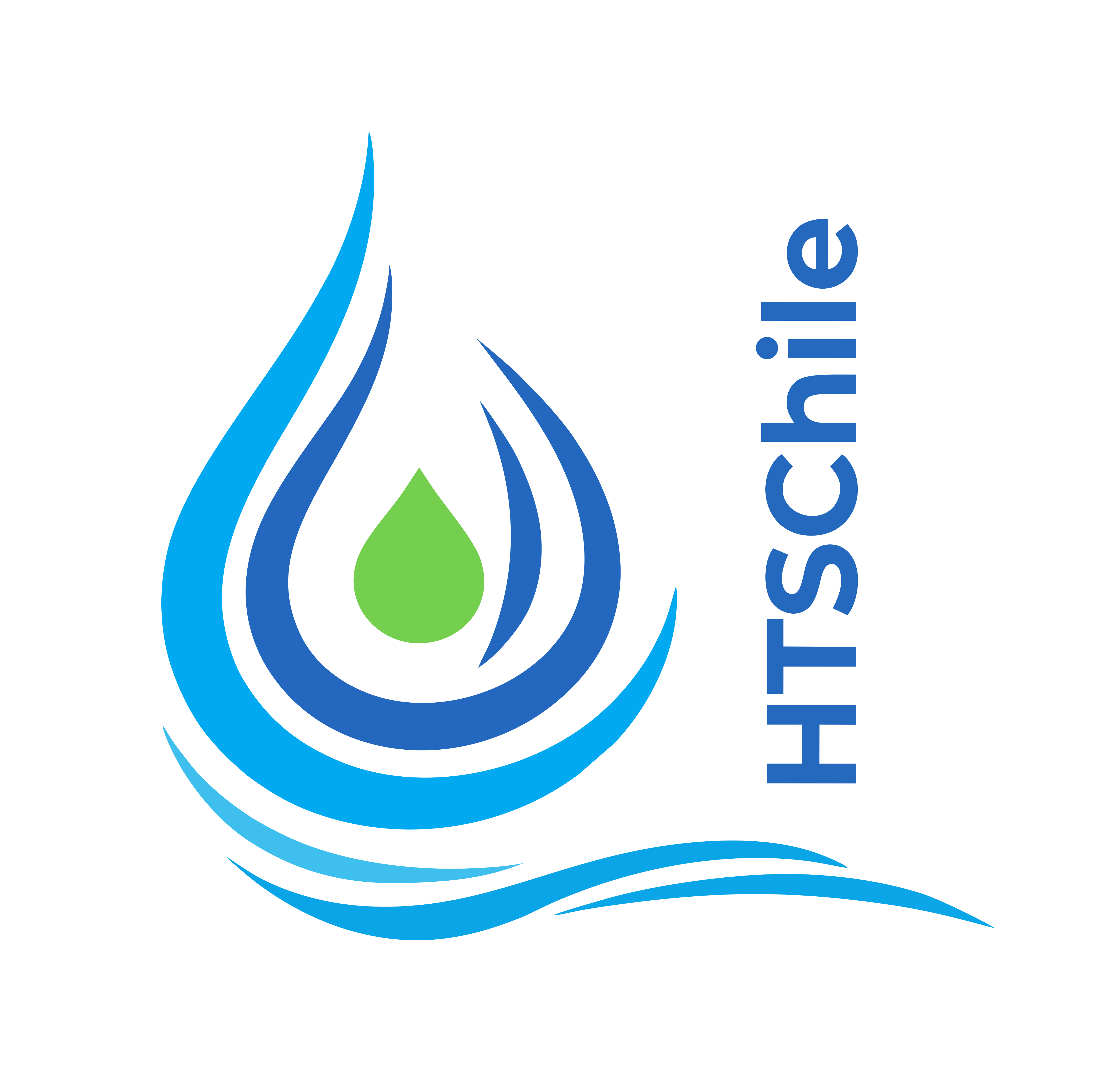 Logo HTS Chile